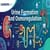 Urine Formation And Osmoregulation
